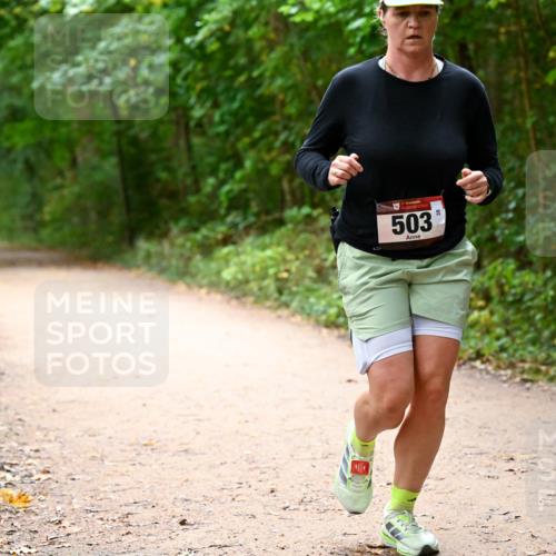 11.10.2026 - Bramfelder Halbmarathon 2026 Dr. Thomas Lammeyer http://msf.ph/oto/10818071 11.10.2026 10:00:14 Laufen 503 meine-sportfotos.de