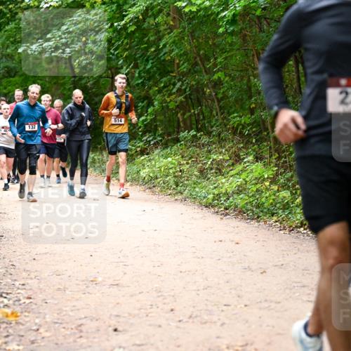 11.10.2026 - Bramfelder Halbmarathon 2026 Dr. Thomas Lammeyer http://msf.ph/oto/10818145 11.10.2026 10:01:08 Laufen 40, 132, 435, 514, 234 meine-sportfotos.de