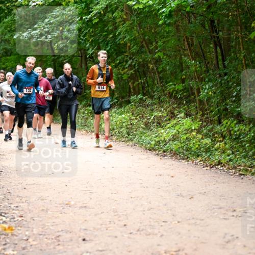 11.10.2026 - Bramfelder Halbmarathon 2026 Dr. Thomas Lammeyer http://msf.ph/oto/10818150 11.10.2026 10:01:09 Laufen 40, 132, 435, 514 meine-sportfotos.de