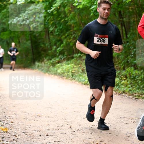 11.10.2026 - Bramfelder Halbmarathon 2026 Dr. Thomas Lammeyer http://msf.ph/oto/10818204 11.10.2026 10:01:17 Laufen 288 meine-sportfotos.de