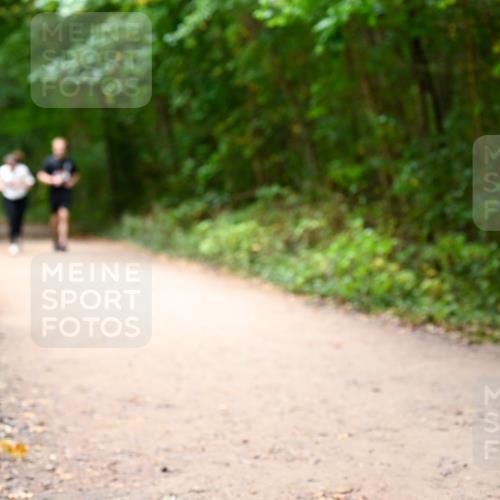 11.10.2026 - Bramfelder Halbmarathon 2026 Dr. Thomas Lammeyer http://msf.ph/oto/10818214 11.10.2026 10:01:18 Laufen  meine-sportfotos.de