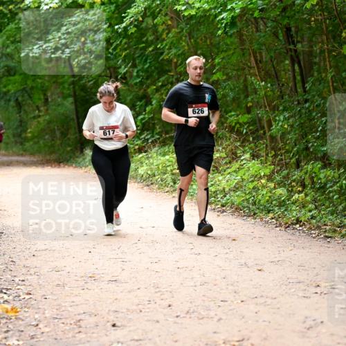 11.10.2026 - Bramfelder Halbmarathon 2026 Dr. Thomas Lammeyer http://msf.ph/oto/10818225 11.10.2026 10:01:25 Laufen 617, 626 meine-sportfotos.de