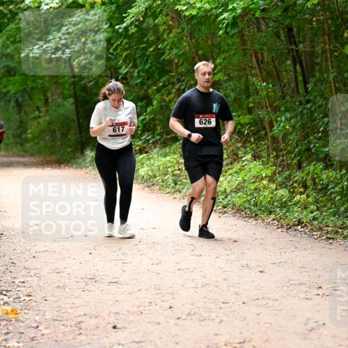 11.10.2026 - Bramfelder Halbmarathon 2026 Dr. Thomas Lammeyer http://msf.ph/oto/10818226 11.10.2026 10:01:25 Laufen 626, 617 meine-sportfotos.de