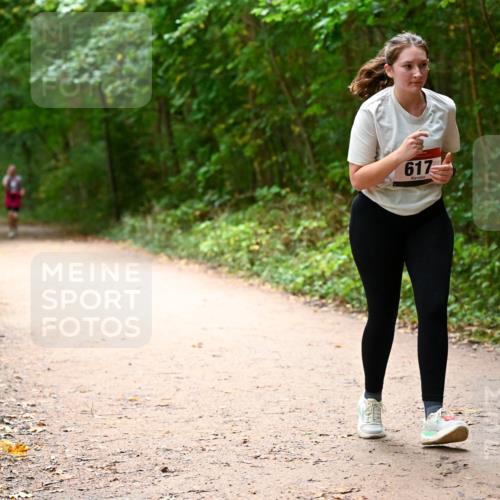 11.10.2026 - Bramfelder Halbmarathon 2026 Dr. Thomas Lammeyer http://msf.ph/oto/10818243 11.10.2026 10:01:28 Laufen 617, 626 meine-sportfotos.de
