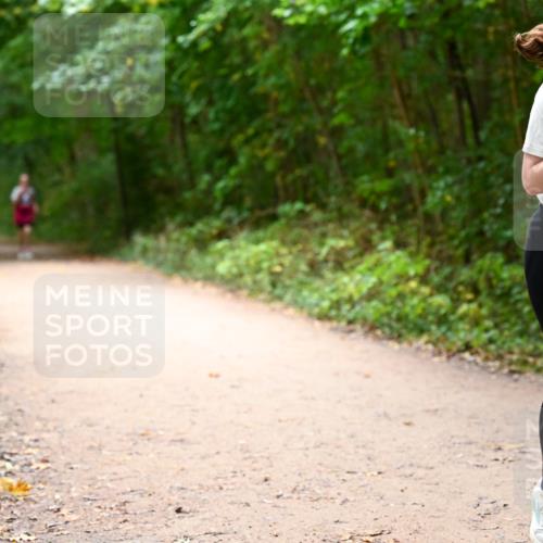 11.10.2026 - Bramfelder Halbmarathon 2026 Dr. Thomas Lammeyer http://msf.ph/oto/10818249 11.10.2026 10:01:28 Laufen 617 meine-sportfotos.de