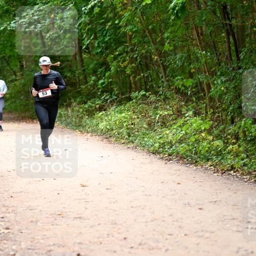 11.10.2026 - Bramfelder Halbmarathon 2026 Dr. Thomas Lammeyer http://msf.ph/oto/10818289 11.10.2026 10:01:52 Laufen 53 meine-sportfotos.de