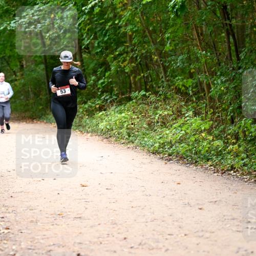 11.10.2026 - Bramfelder Halbmarathon 2026 Dr. Thomas Lammeyer http://msf.ph/oto/10818294 11.10.2026 10:01:53 Laufen 53 meine-sportfotos.de