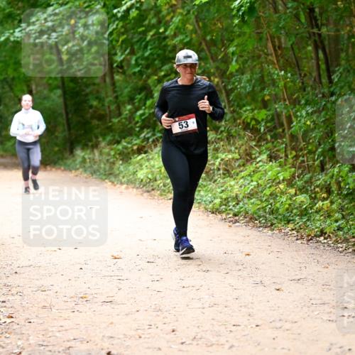11.10.2026 - Bramfelder Halbmarathon 2026 Dr. Thomas Lammeyer http://msf.ph/oto/10818306 11.10.2026 10:01:54 Laufen 53 meine-sportfotos.de