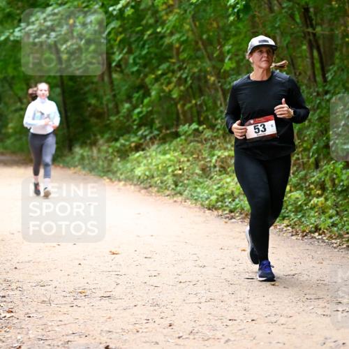 11.10.2026 - Bramfelder Halbmarathon 2026 Dr. Thomas Lammeyer http://msf.ph/oto/10818313 11.10.2026 10:01:55 Laufen 53 meine-sportfotos.de