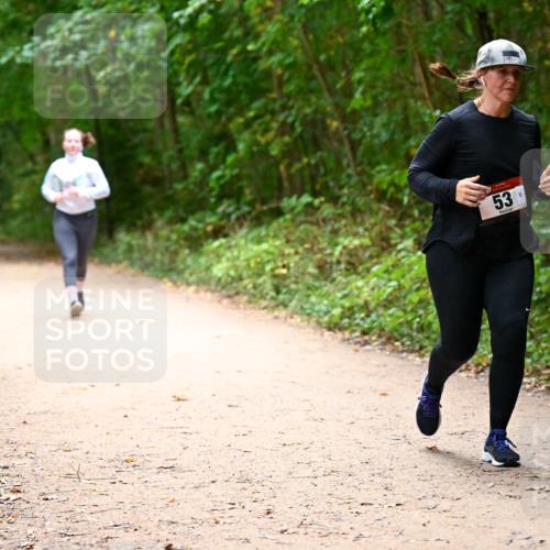 11.10.2026 - Bramfelder Halbmarathon 2026 Dr. Thomas Lammeyer http://msf.ph/oto/10818316 11.10.2026 10:01:56 Laufen 53 meine-sportfotos.de