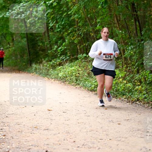 11.10.2026 - Bramfelder Halbmarathon 2026 Dr. Thomas Lammeyer http://msf.ph/oto/10818347 11.10.2026 10:02:23 Laufen 629 meine-sportfotos.de