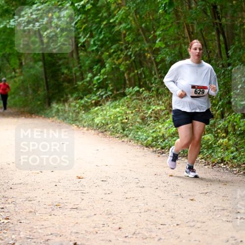 11.10.2026 - Bramfelder Halbmarathon 2026 Dr. Thomas Lammeyer http://msf.ph/oto/10818350 11.10.2026 10:02:24 Laufen 629 meine-sportfotos.de