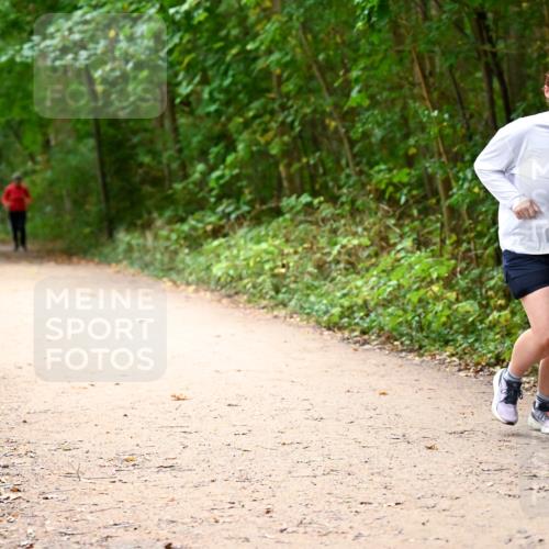 11.10.2026 - Bramfelder Halbmarathon 2026 Dr. Thomas Lammeyer http://msf.ph/oto/10818356 11.10.2026 10:02:25 Laufen 629 meine-sportfotos.de