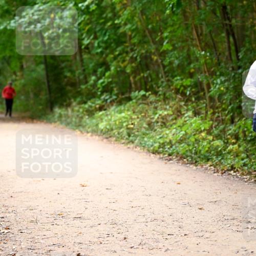 11.10.2026 - Bramfelder Halbmarathon 2026 Dr. Thomas Lammeyer http://msf.ph/oto/10818358 11.10.2026 10:02:25 Laufen 629 meine-sportfotos.de