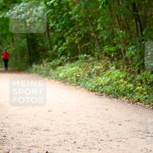 11.10.2026 - Bramfelder Halbmarathon 2026 Dr. Thomas Lammeyer http://msf.ph/oto/10818360 11.10.2026 10:02:25 Laufen  meine-sportfotos.de