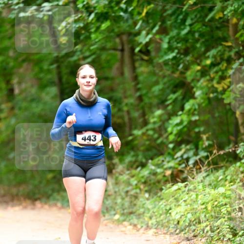 11.10.2026 - Bramfelder Halbmarathon 2026 Dr. Thomas Lammeyer http://msf.ph/oto/10818456 11.10.2026 10:04:10 Laufen 443 meine-sportfotos.de
