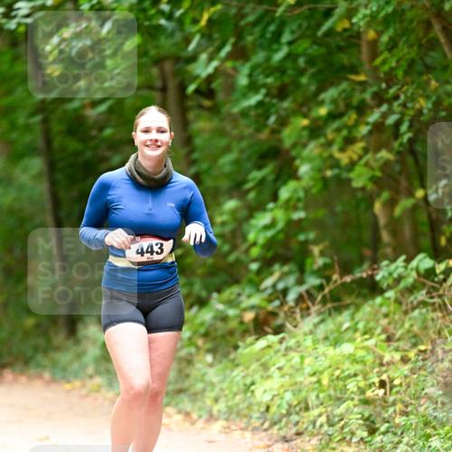 11.10.2026 - Bramfelder Halbmarathon 2026 Dr. Thomas Lammeyer http://msf.ph/oto/10818459 11.10.2026 10:04:11 Laufen 443 meine-sportfotos.de