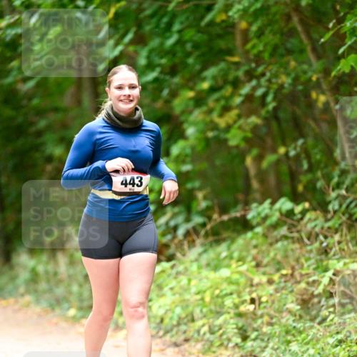 11.10.2026 - Bramfelder Halbmarathon 2026 Dr. Thomas Lammeyer http://msf.ph/oto/10818463 11.10.2026 10:04:11 Laufen 443 meine-sportfotos.de