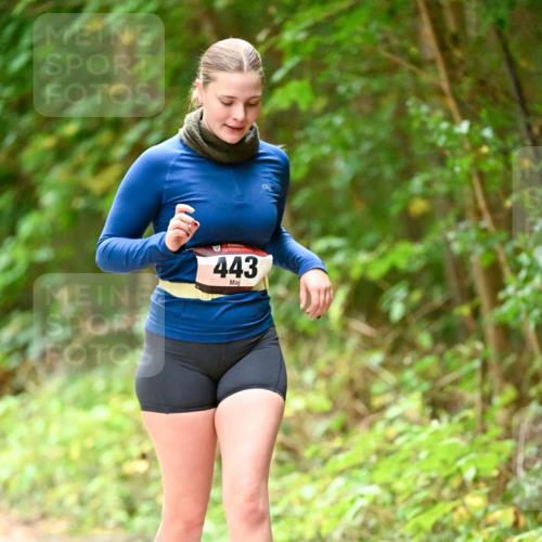 11.10.2026 - Bramfelder Halbmarathon 2026 Dr. Thomas Lammeyer http://msf.ph/oto/10818474 11.10.2026 10:04:13 Laufen 443 meine-sportfotos.de
