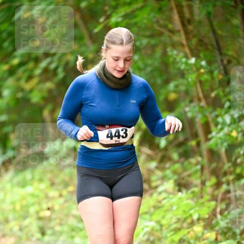11.10.2026 - Bramfelder Halbmarathon 2026 Dr. Thomas Lammeyer http://msf.ph/oto/10818476 11.10.2026 10:04:13 Laufen 1860, 443, 860 meine-sportfotos.de