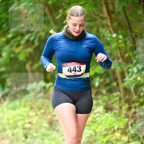 11.10.2026 - Bramfelder Halbmarathon 2026 Dr. Thomas Lammeyer http://msf.ph/oto/10818477 11.10.2026 10:04:13 Laufen 443 meine-sportfotos.de
