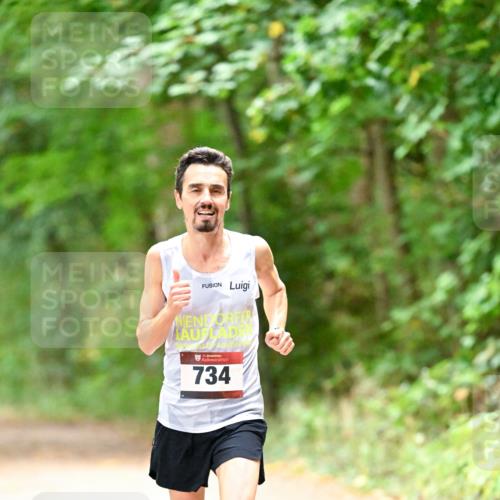 11.10.2026 - Bramfelder Halbmarathon 2026 Dr. Thomas Lammeyer http://msf.ph/oto/10818485 11.10.2026 10:04:36 Laufen 734 meine-sportfotos.de