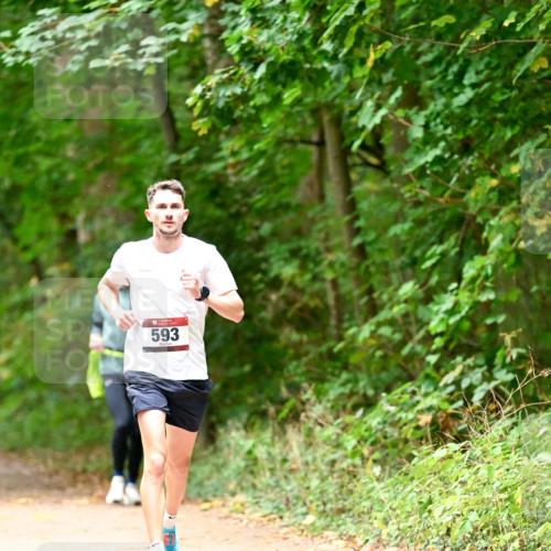 11.10.2026 - Bramfelder Halbmarathon 2026 Dr. Thomas Lammeyer http://msf.ph/oto/10818513 11.10.2026 10:05:40 Laufen 593 meine-sportfotos.de