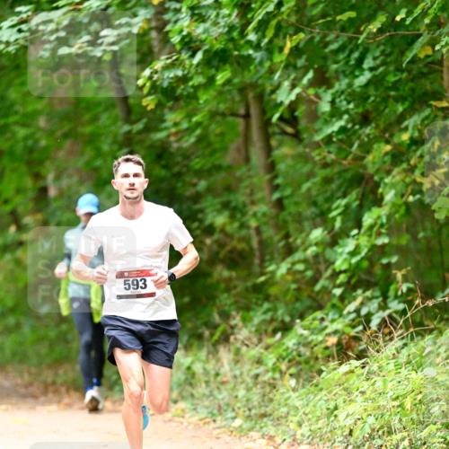 11.10.2026 - Bramfelder Halbmarathon 2026 Dr. Thomas Lammeyer http://msf.ph/oto/10818514 11.10.2026 10:05:40 Laufen 593 meine-sportfotos.de