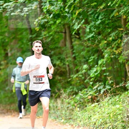 11.10.2026 - Bramfelder Halbmarathon 2026 Dr. Thomas Lammeyer http://msf.ph/oto/10818515 11.10.2026 10:05:41 Laufen 593 meine-sportfotos.de