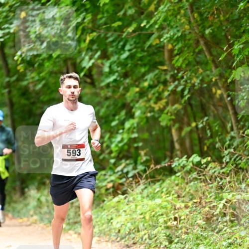 11.10.2026 - Bramfelder Halbmarathon 2026 Dr. Thomas Lammeyer http://msf.ph/oto/10818520 11.10.2026 10:05:41 Laufen 593 meine-sportfotos.de
