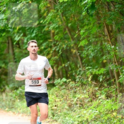 11.10.2026 - Bramfelder Halbmarathon 2026 Dr. Thomas Lammeyer http://msf.ph/oto/10818524 11.10.2026 10:05:42 Laufen 593 meine-sportfotos.de