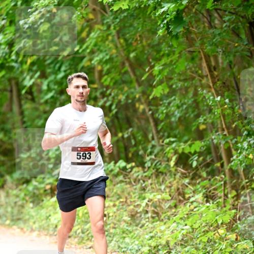 11.10.2026 - Bramfelder Halbmarathon 2026 Dr. Thomas Lammeyer http://msf.ph/oto/10818525 11.10.2026 10:05:42 Laufen 593 meine-sportfotos.de