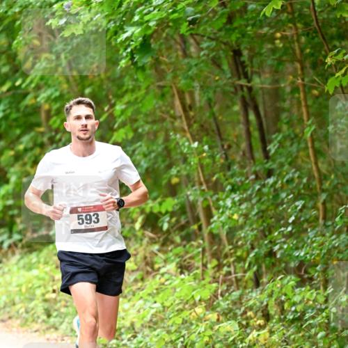 11.10.2026 - Bramfelder Halbmarathon 2026 Dr. Thomas Lammeyer http://msf.ph/oto/10818528 11.10.2026 10:05:42 Laufen 593 meine-sportfotos.de