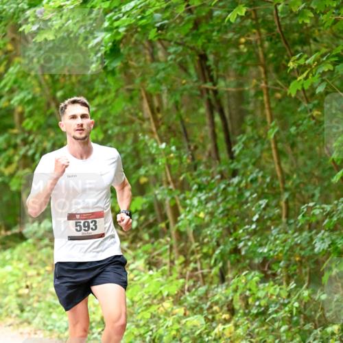 11.10.2026 - Bramfelder Halbmarathon 2026 Dr. Thomas Lammeyer http://msf.ph/oto/10818529 11.10.2026 10:05:42 Laufen 593 meine-sportfotos.de