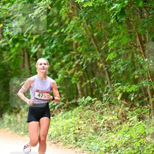11.10.2026 - Bramfelder Halbmarathon 2026 Dr. Thomas Lammeyer http://msf.ph/oto/10818558 11.10.2026 10:05:51 Laufen 47 meine-sportfotos.de
