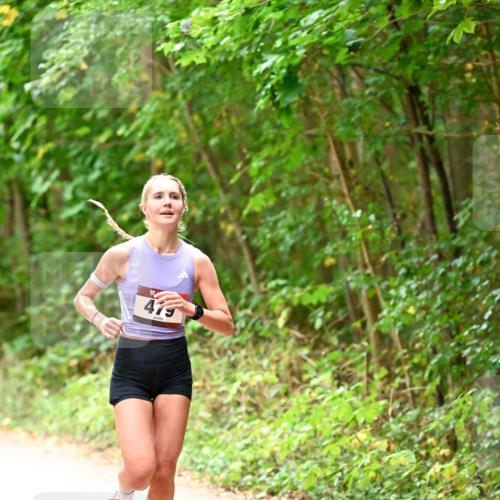 11.10.2026 - Bramfelder Halbmarathon 2026 Dr. Thomas Lammeyer http://msf.ph/oto/10818563 11.10.2026 10:05:52 Laufen 419 meine-sportfotos.de