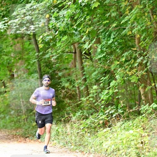 11.10.2026 - Bramfelder Halbmarathon 2026 Dr. Thomas Lammeyer http://msf.ph/oto/10818574 11.10.2026 10:06:23 Laufen 439 meine-sportfotos.de