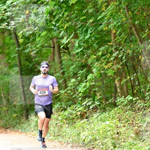 11.10.2026 - Bramfelder Halbmarathon 2026 Dr. Thomas Lammeyer http://msf.ph/oto/10818580 11.10.2026 10:06:24 Laufen 439 meine-sportfotos.de
