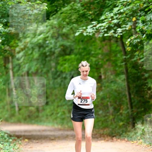 11.10.2026 - Bramfelder Halbmarathon 2026 Dr. Thomas Lammeyer http://msf.ph/oto/10818598 11.10.2026 10:06:29 Laufen 275, 100 meine-sportfotos.de