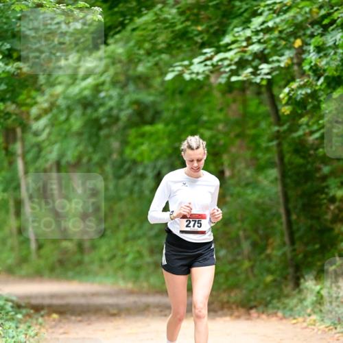 11.10.2026 - Bramfelder Halbmarathon 2026 Dr. Thomas Lammeyer http://msf.ph/oto/10818599 11.10.2026 10:06:29 Laufen 275 meine-sportfotos.de