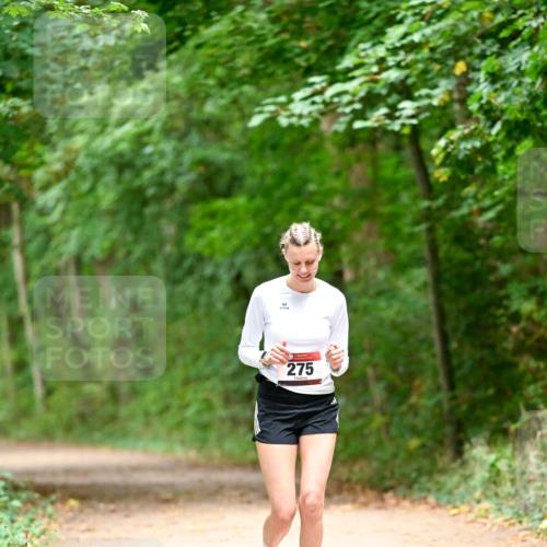 11.10.2026 - Bramfelder Halbmarathon 2026 Dr. Thomas Lammeyer http://msf.ph/oto/10818600 11.10.2026 10:06:29 Laufen 275 meine-sportfotos.de