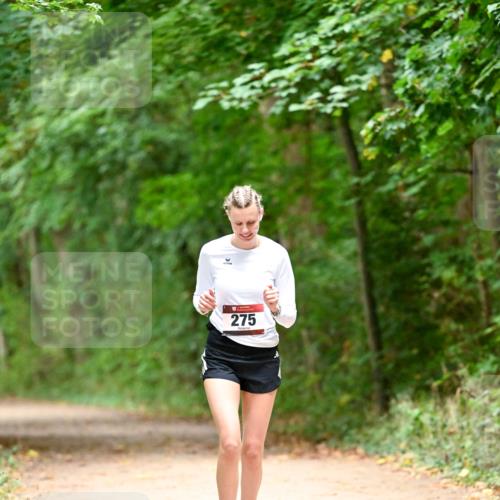 11.10.2026 - Bramfelder Halbmarathon 2026 Dr. Thomas Lammeyer http://msf.ph/oto/10818601 11.10.2026 10:06:29 Laufen 275 meine-sportfotos.de