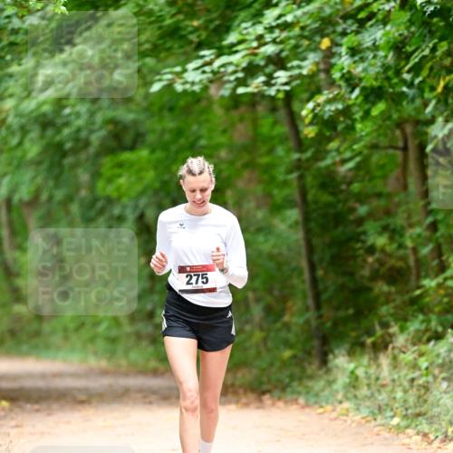 11.10.2026 - Bramfelder Halbmarathon 2026 Dr. Thomas Lammeyer http://msf.ph/oto/10818602 11.10.2026 10:06:29 Laufen 275 meine-sportfotos.de