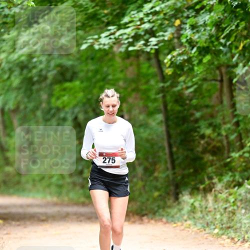11.10.2026 - Bramfelder Halbmarathon 2026 Dr. Thomas Lammeyer http://msf.ph/oto/10818603 11.10.2026 10:06:29 Laufen 275 meine-sportfotos.de