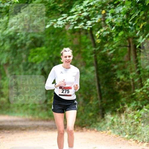 11.10.2026 - Bramfelder Halbmarathon 2026 Dr. Thomas Lammeyer http://msf.ph/oto/10818604 11.10.2026 10:06:29 Laufen 275 meine-sportfotos.de