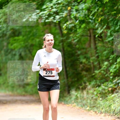 11.10.2026 - Bramfelder Halbmarathon 2026 Dr. Thomas Lammeyer http://msf.ph/oto/10818610 11.10.2026 10:06:30 Laufen 275 meine-sportfotos.de