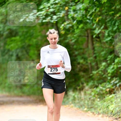11.10.2026 - Bramfelder Halbmarathon 2026 Dr. Thomas Lammeyer http://msf.ph/oto/10818614 11.10.2026 10:06:31 Laufen 275 meine-sportfotos.de