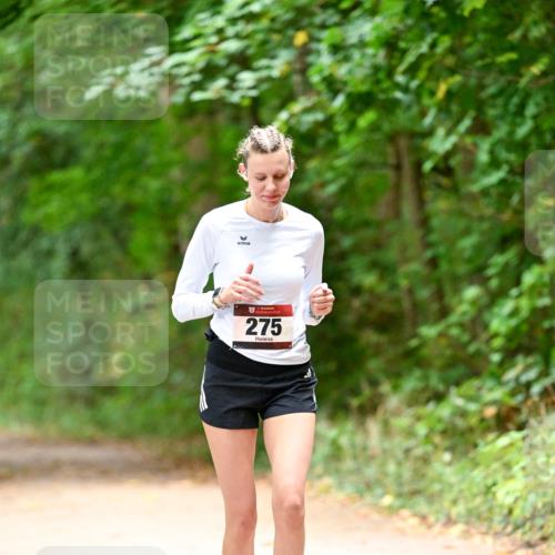 11.10.2026 - Bramfelder Halbmarathon 2026 Dr. Thomas Lammeyer http://msf.ph/oto/10818616 11.10.2026 10:06:31 Laufen 275 meine-sportfotos.de
