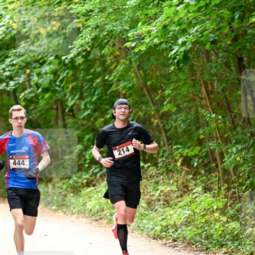 11.10.2026 - Bramfelder Halbmarathon 2026 Dr. Thomas Lammeyer http://msf.ph/oto/10818641 11.10.2026 10:06:56 Laufen 444, 214 meine-sportfotos.de
