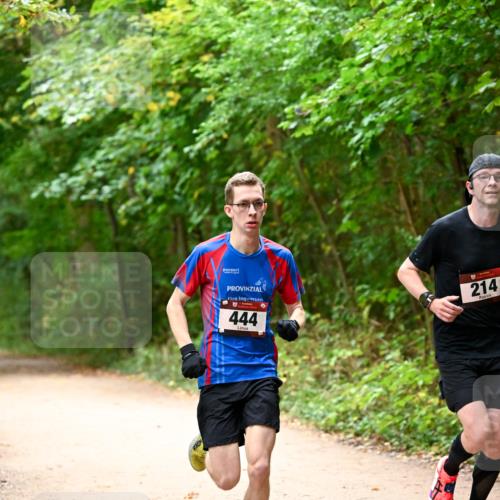 11.10.2026 - Bramfelder Halbmarathon 2026 Dr. Thomas Lammeyer http://msf.ph/oto/10818646 11.10.2026 10:06:57 Laufen 444, 214 meine-sportfotos.de